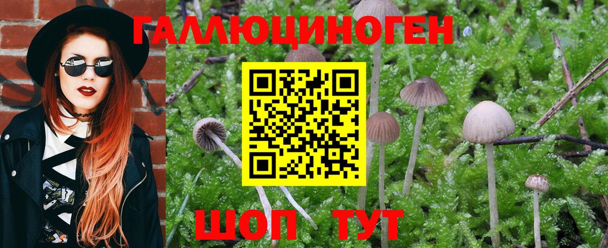 Псилоцибиновые грибы Psilocybine cubensis  Вход с VPN  Псилоцибиновые грибы мухоморы  Кумертау 